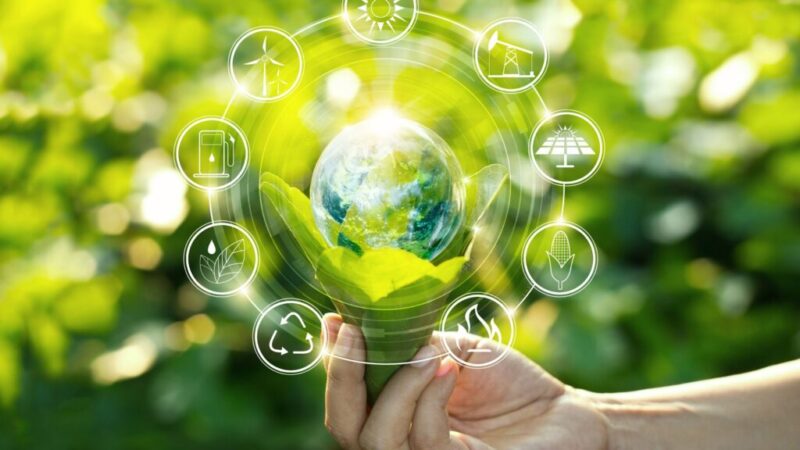 BIOENERGIA, CATTURA E STOCCAGGIO DELLA CO2