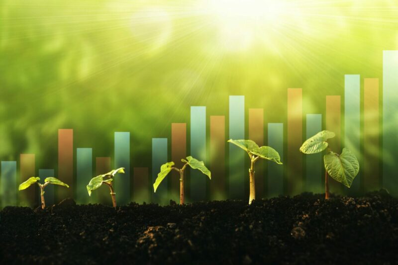 LA PMI INNOVATIVA NELLA TRANSIZIONE GREEN