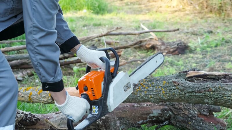 ADDETTO ALL'USO IN SICUREZZA DELLA MOTOSEGA